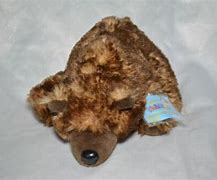 Image result for Webkinz Grizzly Bear