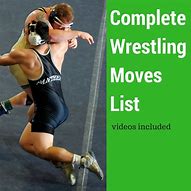 Image result for Wrestling Moves