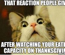 Image result for Funny Day After Thanksgiving Memes