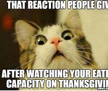 Image result for Funny Thanksgiving Memes