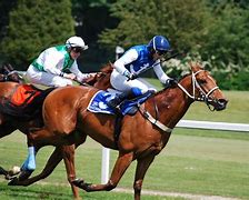 Image result for Horse Racing Hoast