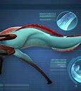 Image result for Reaper Leviathan Memes