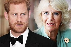 Image result for Camilla and Prince Harry