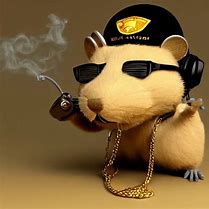 Image result for Gangster Rat Meme