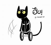 Image result for Wheelchair Cat Meme