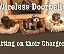 Image result for Dog Charging Meme