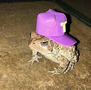 Image result for Cursed Crazy Frog