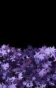 Image result for Apple Purple iPhone 12 Wallpaper