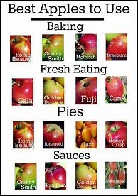 Image result for Apple Varieties and Their Uses