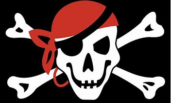 Image result for 256X256 Pirate Flag