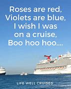 Image result for Cruise Ship Humor