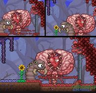 Image result for Zookeeper Terraria