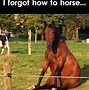 Image result for Well Played Horse Meme