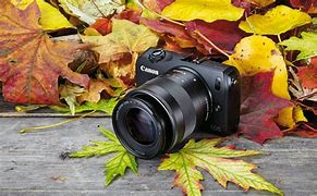 Image result for Professional Canon Lenses