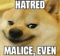 Image result for The Malice Grows Cat Meme