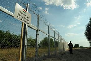 Image result for Hungarian Serbian Border