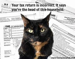 Image result for Cat Tax Meme