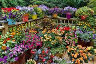 Image result for Container Plant Garden Front Yard
