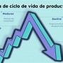 Image result for Ciclo De Vida De Un Producto