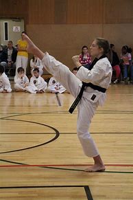 Image result for Martial Arts Front Kick