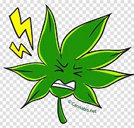 Image result for Green Weed Cartoon