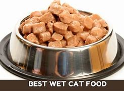 Image result for Bacon Flavored Wet Cat Food