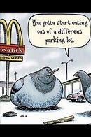Image result for Parking Lot Humor