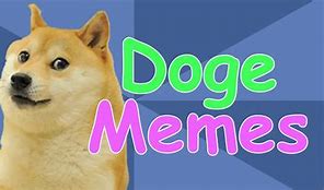 Image result for Doged Meme