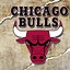 Image result for Bulls Poster