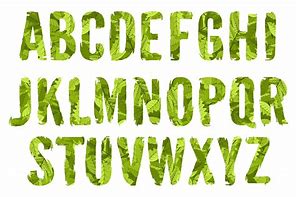 Image result for Typography with Green Leaves Floral Design