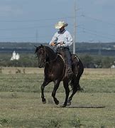 Image result for Cowboy Polo