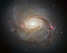 Image result for NGC 2608 Galaxy 4K