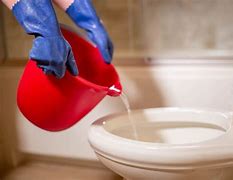 Image result for Clogged Toilet Bowl