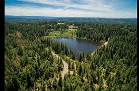 Image result for Apple Hill Northern CA