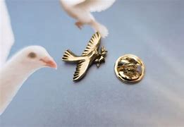 Image result for Dove Lapel Pin