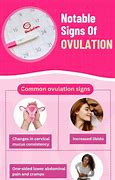 Image result for How Long Does Ovulation Last