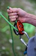 Image result for Climbing Belay Carabiner