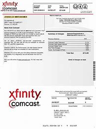 Image result for Xfinity Statement