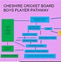Image result for Cheshire Cricket Board Hall of Fame