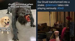 Image result for Level 1 Dnd Meme