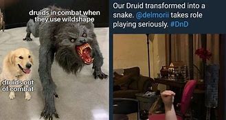 Image result for Dnd Character Memes