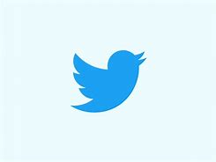 Image result for Twitter Logo Button