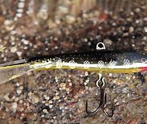 Image result for Ice Fishing Jigs