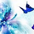 Image result for Mystical Butterflies