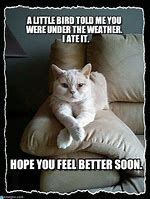 Image result for Hope You Feel Better Hilarious