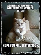 Image result for Hope You Are Feeling Better Meme