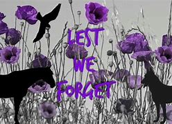 Image result for Lest We Forget Purple Poppy