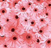 Image result for Cute Floral Print Background