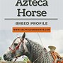 Image result for Azteca Horse Breed