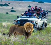 Image result for African Safari Kids